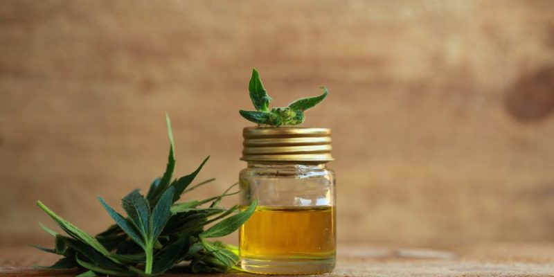 Descubre los factores que afectan a la ingesta de CBD