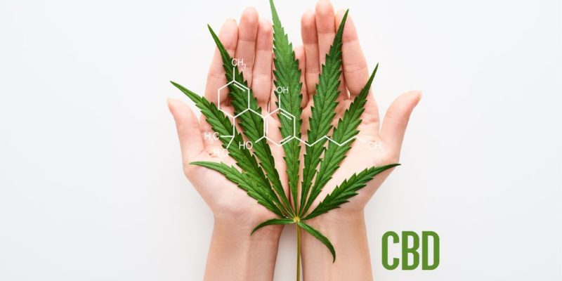 compra el mejor cannabis legal en cbdonia