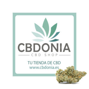 cbd en sevilla