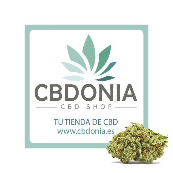 cbd en sevilla