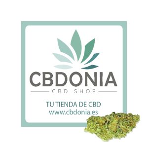 cannabis legal sevilla