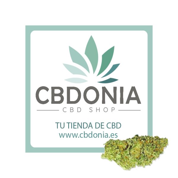 cannabis legal sevilla